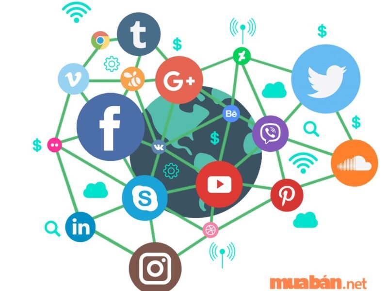 Social Media Management/Content creation